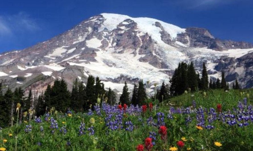 Todo lo que necesitas saber sobre el volcán Mount Rainier